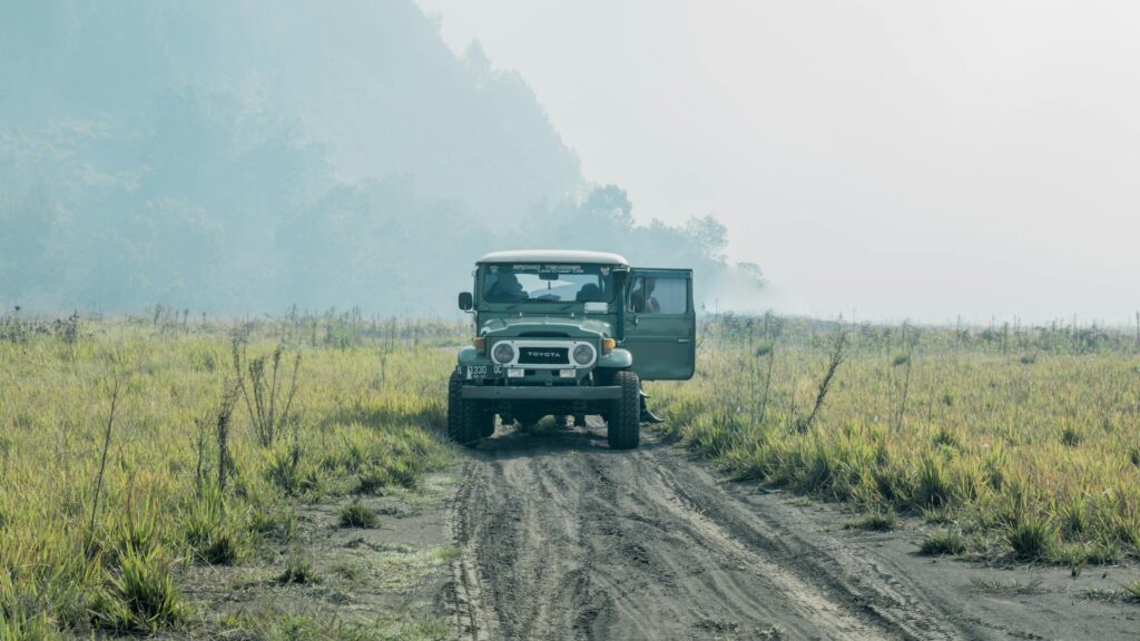 pexels-photo-10290077